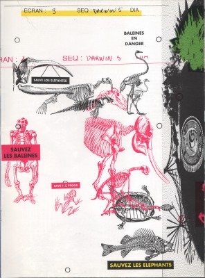 page21.jpg