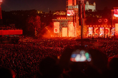 8770042_1000x - Marko Erd.jpg